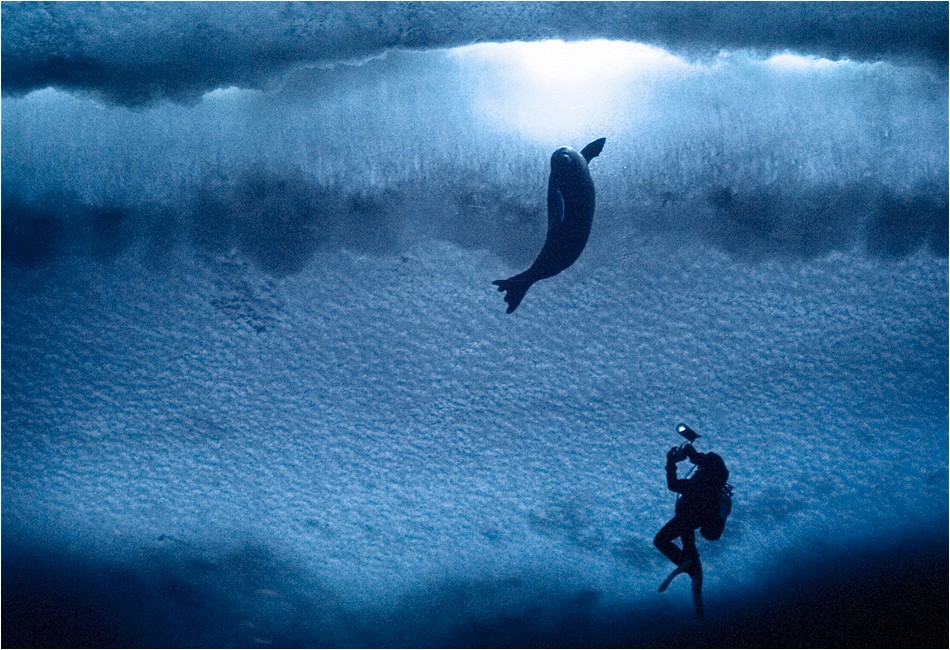 Rob Robbins and Weddell Seal
